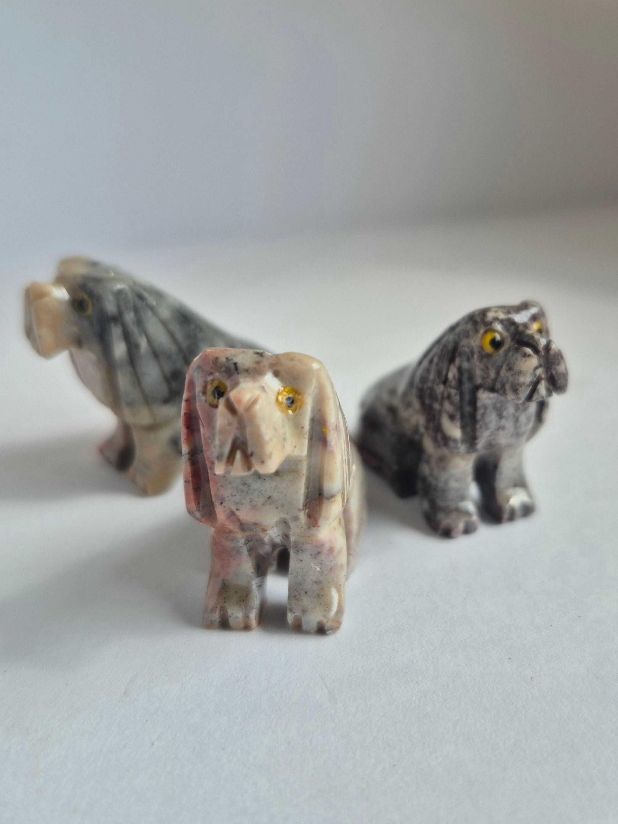 Specksteintier Hund-14 5
